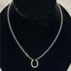 Elegant Silver Horseshoe necklace